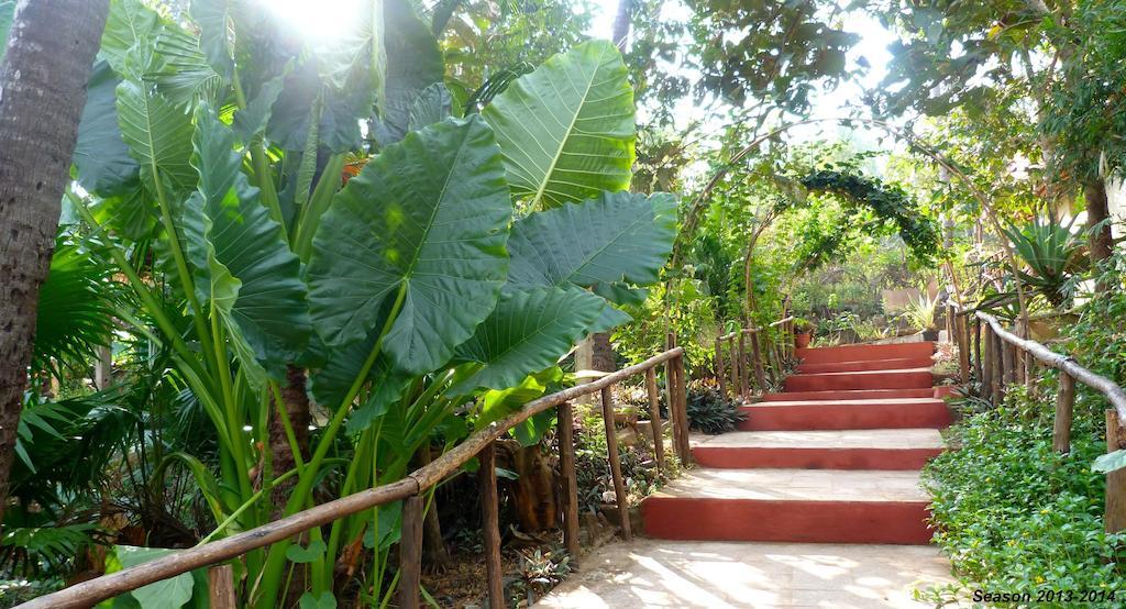 Resort Secret Garden 2*