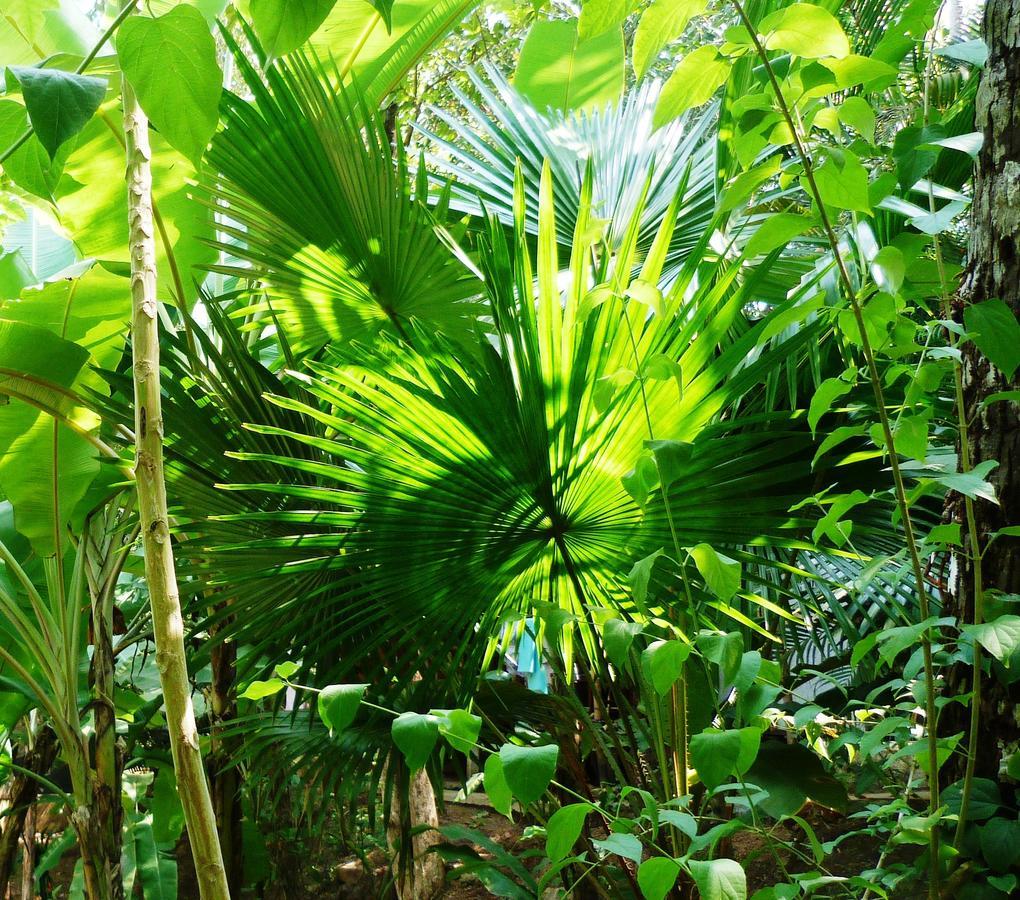 Resort Secret Garden Patnem Beach
